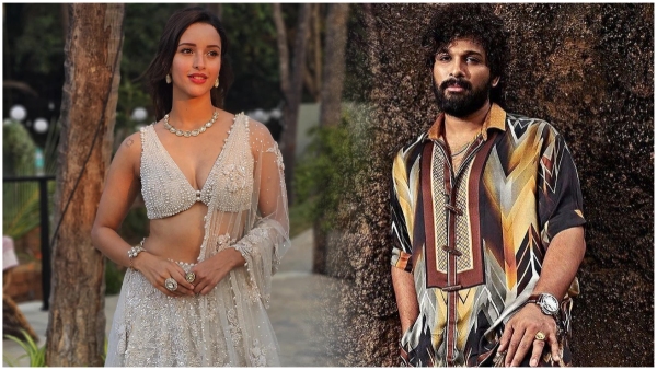 Tripti Dimri Guest Role in Pushpa The Rule Movie