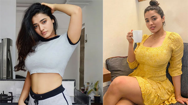 Netizen Gives Shock to Bro Heroine Ketika Sharma In Instagram Chat