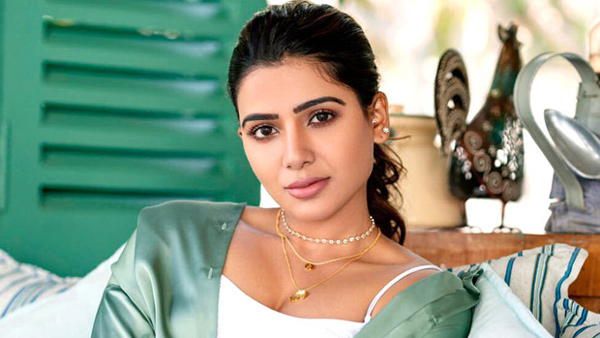 Do You Know Samantha Varun Dhawan Citadel Indian Series Title Name Check Details