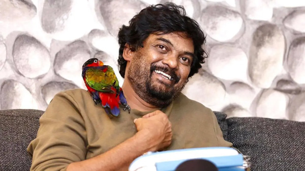 Director Puri Jagannadh Sensational Comments On Tollywood Fans