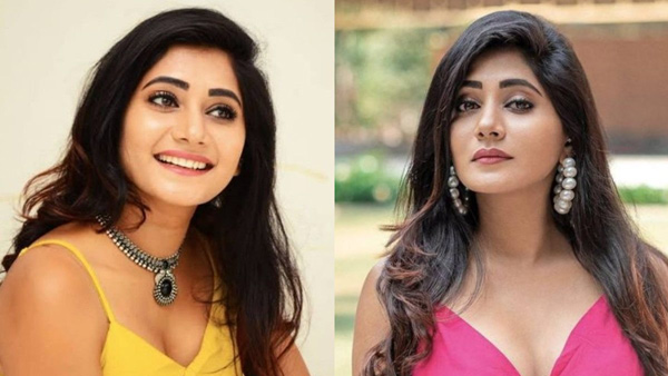 Bigg Boss Beauty Vasanthi Krishnan Shocking Comments About Her Honeymoon Check Details