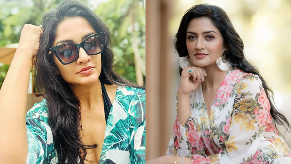 Tollywood Cute Beauty Vimala Raman Stunning Look Photos Goes Viral