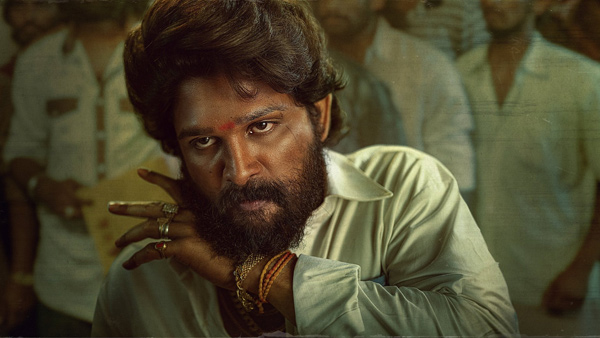 Pawan Kalyan Voice Over for Allu Arjun Starrer Pushpa The Rule Movie Pawan Kalyan Voice Over for Allu Arjun Starrer Pushpa The Rule Movie