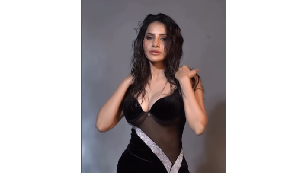 Bigg Boss Telugu Fame Ashu Reddy rises mercury levels with High Thigh slit dress goes viral
