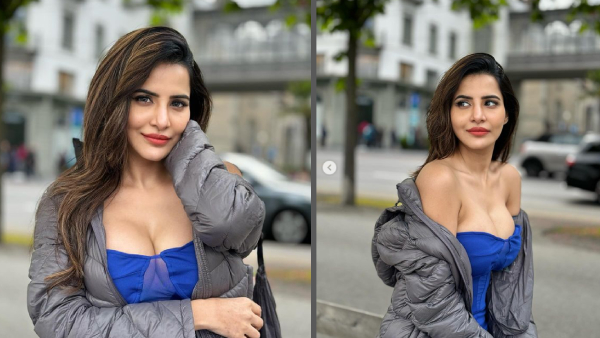 Ashu Reddy Unexpected Comments On Pawan Kalyan Video Goes Viral