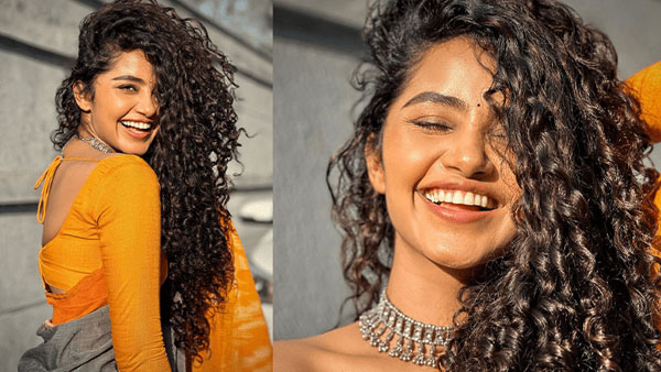 Tillu Square Heroine Anupama Parameswaran Shares Unexpected Pic In Instagram