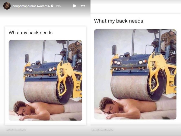 Tillu Square Heroine Anupama Parameswaran Shares Unexpected Pic In Instagram