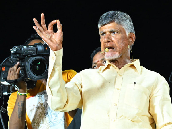 Jr NTR Special Tweet On Chandrababu Naidu and Pawan Kalyan Win In Elections