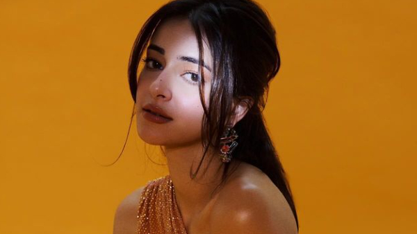 Ananya Panday Did Plastic Surgery for Lips News Gone Hot Topic