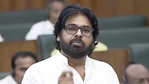 Pawan Kalyan satires on YS Jagan Mohan Reddy Government in AP Assembly