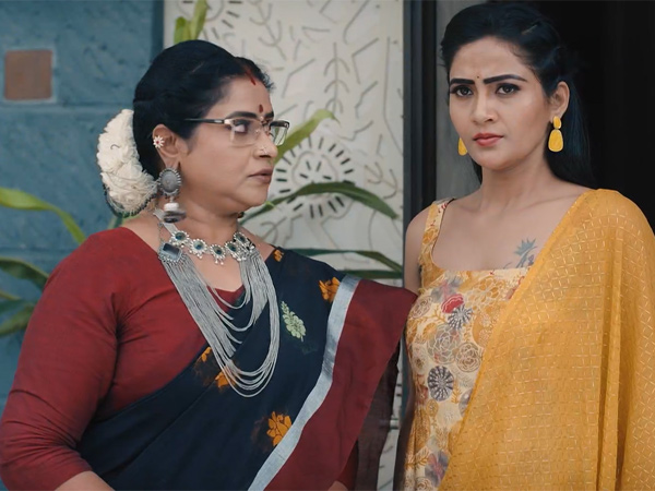 Karthika Deepam 2 Serial 13th July 2024 Episode Number 95 Here is full story