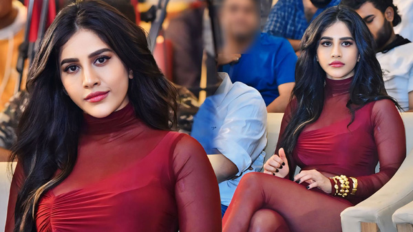 ismart beauty nabha natesh darling ott partner and tv details