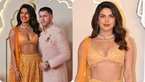 Netizens Trolling on Priyanka Chopra and Nick jonas due to attending Anant Ambani wedding Netizens Trolling on Priyanka Chopra and Nick jonas due to attending Anant Ambani wedding