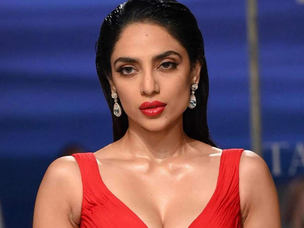 Did you know this heroine Shobhita Dulipala dubbed for Deepika Padukone in the Telugu version of Kalki 2898 AD