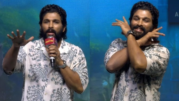 mega fan made sensational comments on icon star allu arjun over his speech at maruthi nagar Subramanyam pre release event