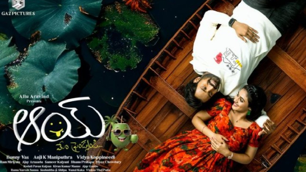 Narne Nithiin Starrer AAY Movie 12 Days Official Box Office Collections