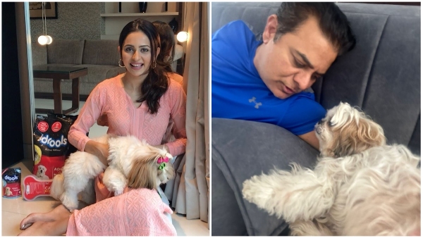 ex minister ktr and heroine rakul preet singh poses with same bread pet dogs here s the details