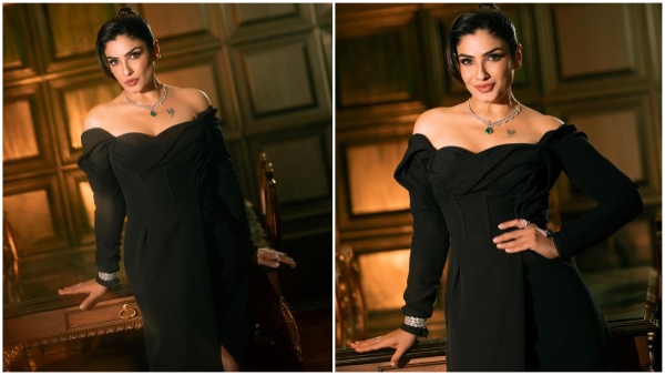 KGF actress Raveena Tandon made sensational comments on casting couch