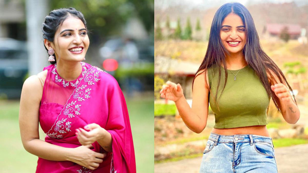 Telugu Actress Ananya Nagalla Interesting Comments On Pawan Kalyan