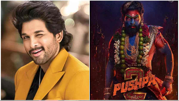 Will Australian cricketer David Warner make a surprise cameo in Allu Arjun s superhit film Pushpa 2