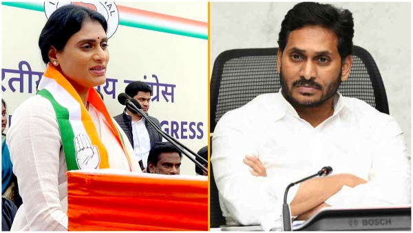 YS Sharmila Blasts on YS Jaganmohan Reddy over Mumbai Actress Kadambari Jethwani Case YS Sharmila Blasts on YS Jaganmohan Reddy over Mumbai Actress Kadambari Jethwani Case