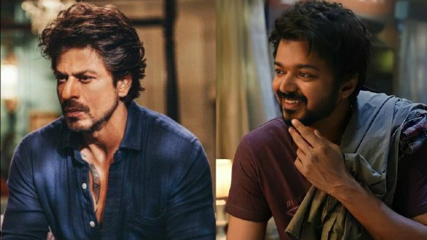 Shah Rukh Khan leads 2024 celebrity taxpayer list Thalapathy Vijay in second place Shah Rukh Khan leads 2024 celebrity taxpayer list Thalapathy Vijay in second place