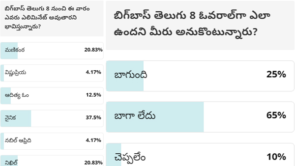 nainika in danger zone in Bigg Boss Telugu 8 here s the details nainika in danger zone in Bigg Boss Telugu 8 here s the details