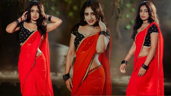 Bigg Boss Telugu 8 Nayani Pavani will eliminate in the 8 th week of Bigg Boss telugu season 8