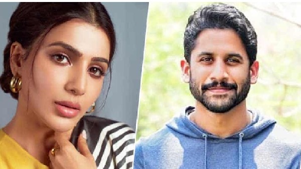 With compitite samantha naga chaitanya planning a big web series