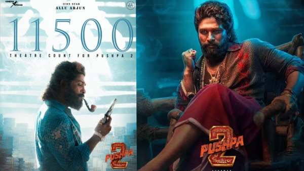 Allu Arjun s pushpa the rule movie worldwide theaters count details