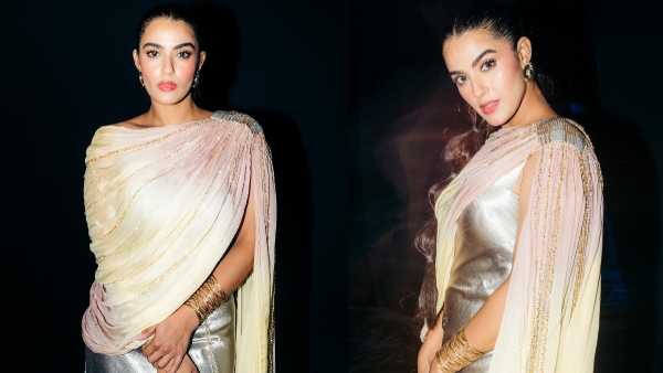 Ravi teja heroine Kavya Thapar made shocking comments on casting couch