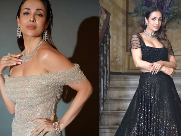 Bollywood actress Malaika Arora shared a interesting post on her Instagram Stories