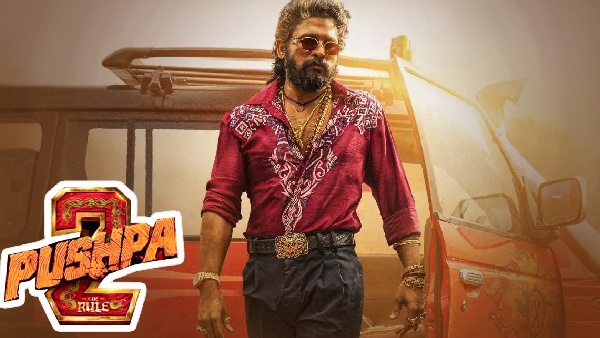 is mega fans conspiracy to flop allu arjun s pushpa-2