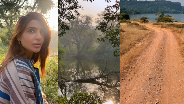 actress samantha ruth prabhu tour in Ranthambore National Park in Rajasthan actress samantha ruth prabhu tour in Ranthambore National Park in Rajasthan