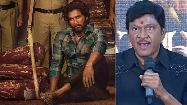 Actor Rajendra Prasad Shocking Comments On Allu Arjun Character In Pushpa 2