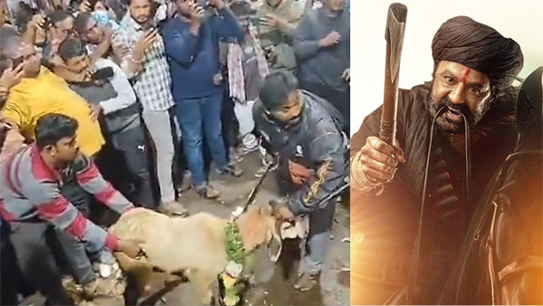 Fans allegedly sacrifice a goat to celebrate Nandamuri Balakrishna s Daaku Maharaaj release Fans allegedly sacrifice a goat to celebrate Nandamuri Balakrishna s Daaku Maharaaj release