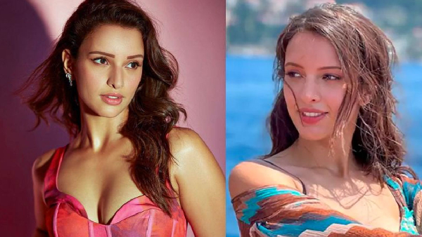 for the first time tripti dimri to romance with this south star