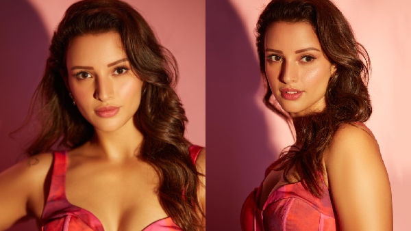 Tripti Dimri has faced many problems in starting her career and the experiences Animal