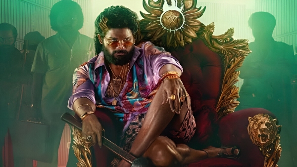 pushpa 2 got zero profits here even with hundreds of crore colletion