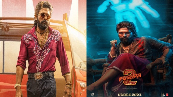 Pushpa 2 The Rule Box Office Day 60 Collections report