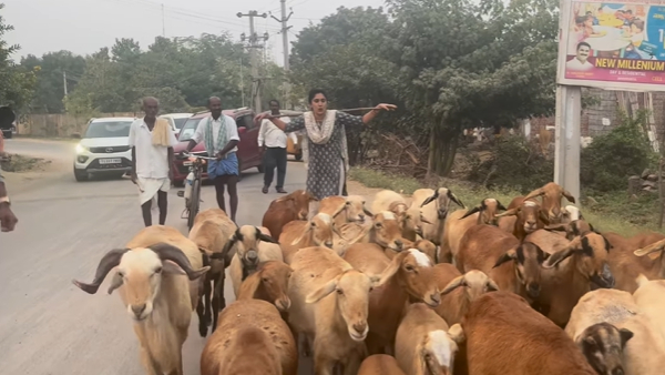 Actress Dhanya Balakrishna shares funny video for BAAPU Movie promotion Actress Dhanya Balakrishna shares funny video for BAAPU Movie promotion