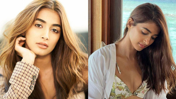 pooja hegde will be seen in a shocking for lawrence movie pooja hegde will be seen in a shocking for lawrence movie