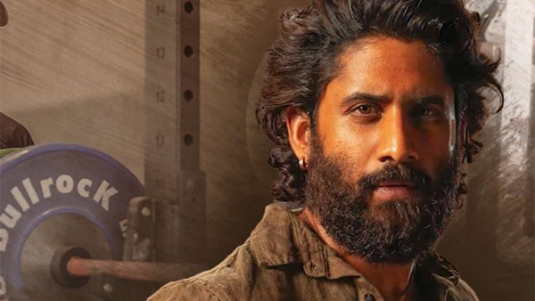 Sai Pallavi Naga Chaitanya s Thandel Movie Day 11 Box Office collections worldwide Sai Pallavi Naga Chaitanya s Thandel Movie Day 11 Box Office collections worldwide