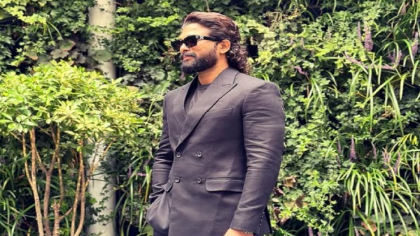 Hrithik Roshan directorial debut with krrish 4 Confirmed His fan shocking comment on Allu Arjun movie