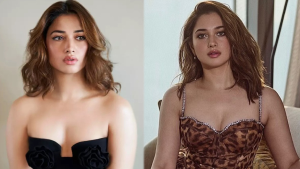 Tamannaah Bhatia Sensational Comments on Film lndustry