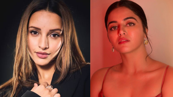 Bollywood Actress Wamiqa Gabbi Interesting Comments on Spirit Heroine Tripti Dimri