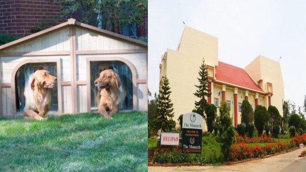 Bollywood actor Mithun Chakraborty left Rs 45 crore property for his dogs