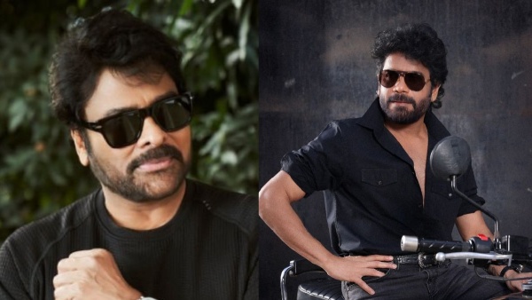 Bigg Boss Telugu 9 Finale Who Will Be the Chief Guest Excitement Peaks as Chiranjeevi s Name Circulates