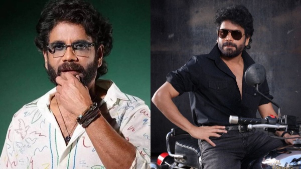 Why Nagarjuna Rejected 1300 Cr Bollywood Blockbuster Dhurandhar