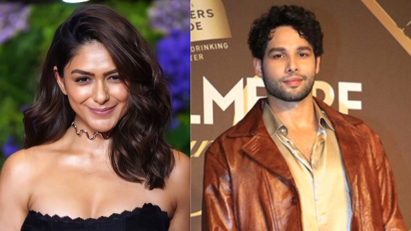 Mrunal Thakur Dating Siddhant Chaturvedi Dhanush Rumours Fade New Bollywood Love Buzz